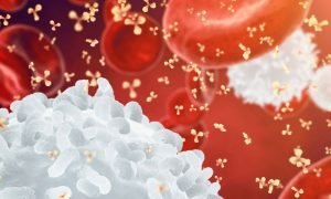 Defesas Comprometidas